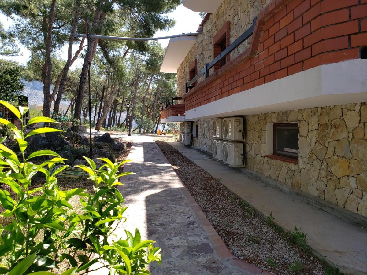 Hotel Brifs Shengjin Exterior photo